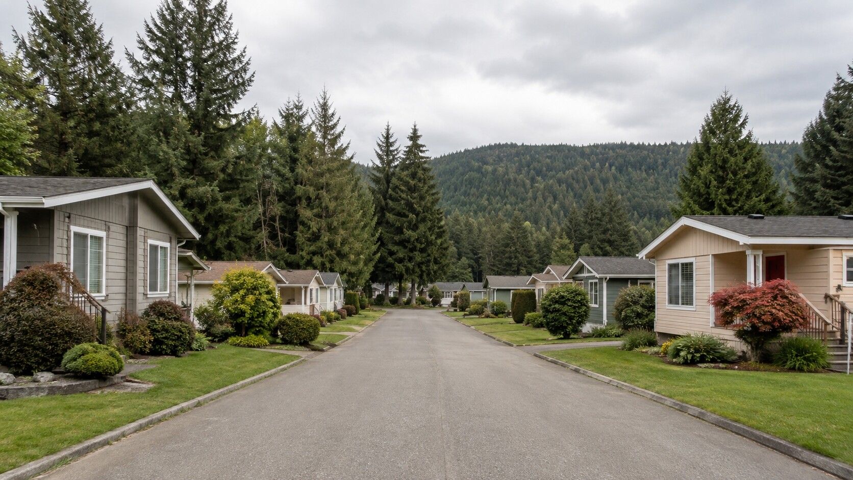 A quiet street of single-story homes with a forested hillside behind