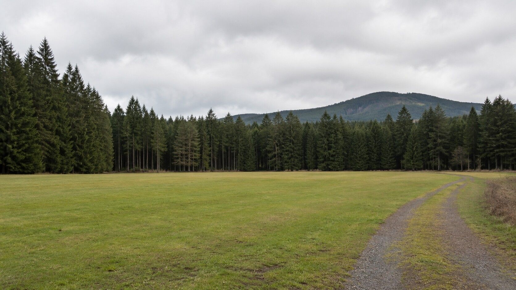 An open grassy field bordered by forest, under an overcast sky