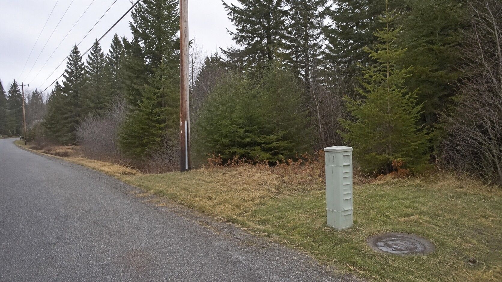A roadside utility cabinet and power line along a forested road